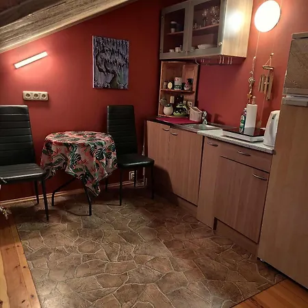 Studija Viloje Kaunas