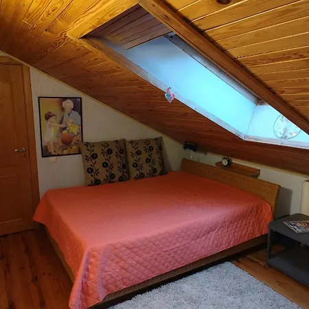 Privatunterkunft Studija Viloje-quiet 15 Min From Airport Kaunas