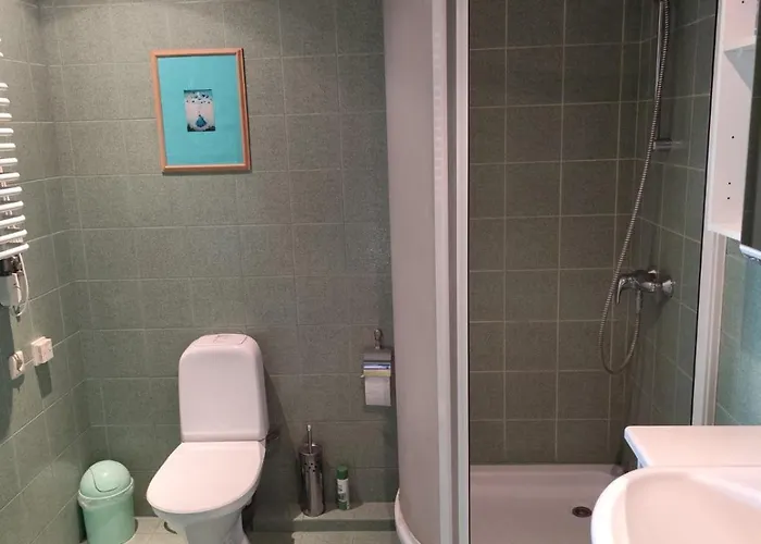 Studija Viloje-quiet 15 Min From Airport Homestay Kaunas