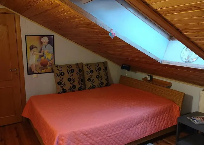 Homestay Studija Viloje-quiet 15 Min From Airport Kaunas