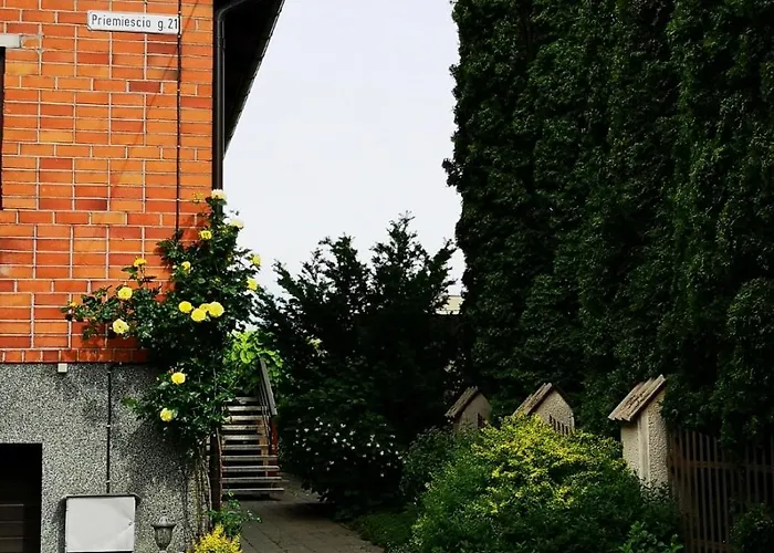 Studija Viloje-quiet 15 Min From Airport Homestay