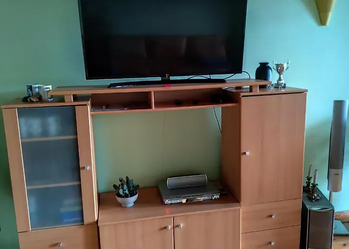 Studija Viloje-quiet 15 Min From Airport Homestay *